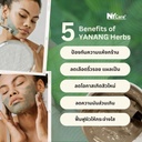 Herbal Mask Powder